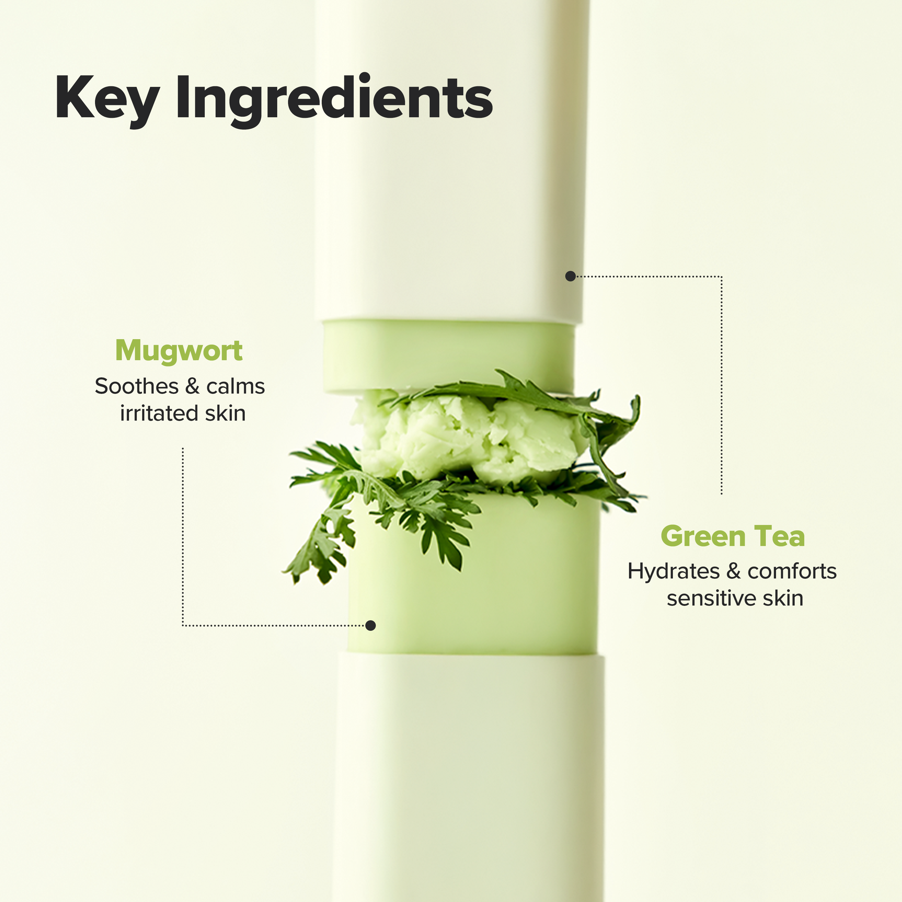 Beauty of Joseon Matte Sun Stick Mugwort + Camelia SPF 50+ PA+++ 18g 5