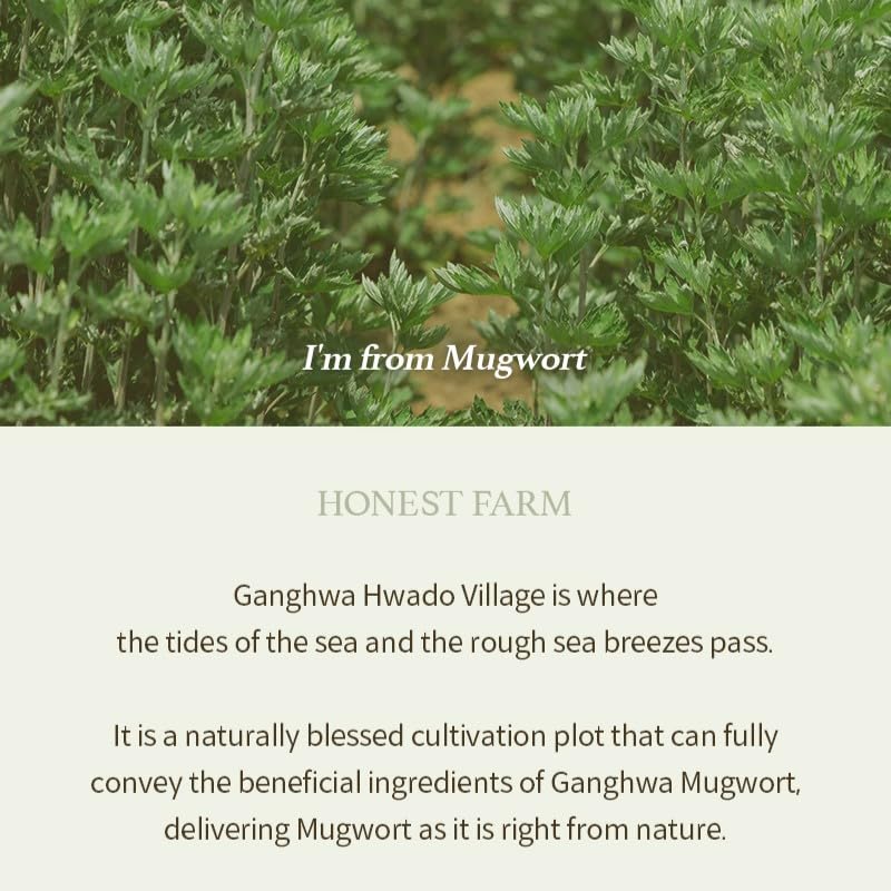 I'm from - Mugwort Gel Cleanser 150ml 10