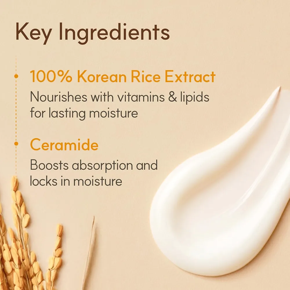 THE FACE SHOP - Rice & Ceramide Moisturizing Cream 50ml 4