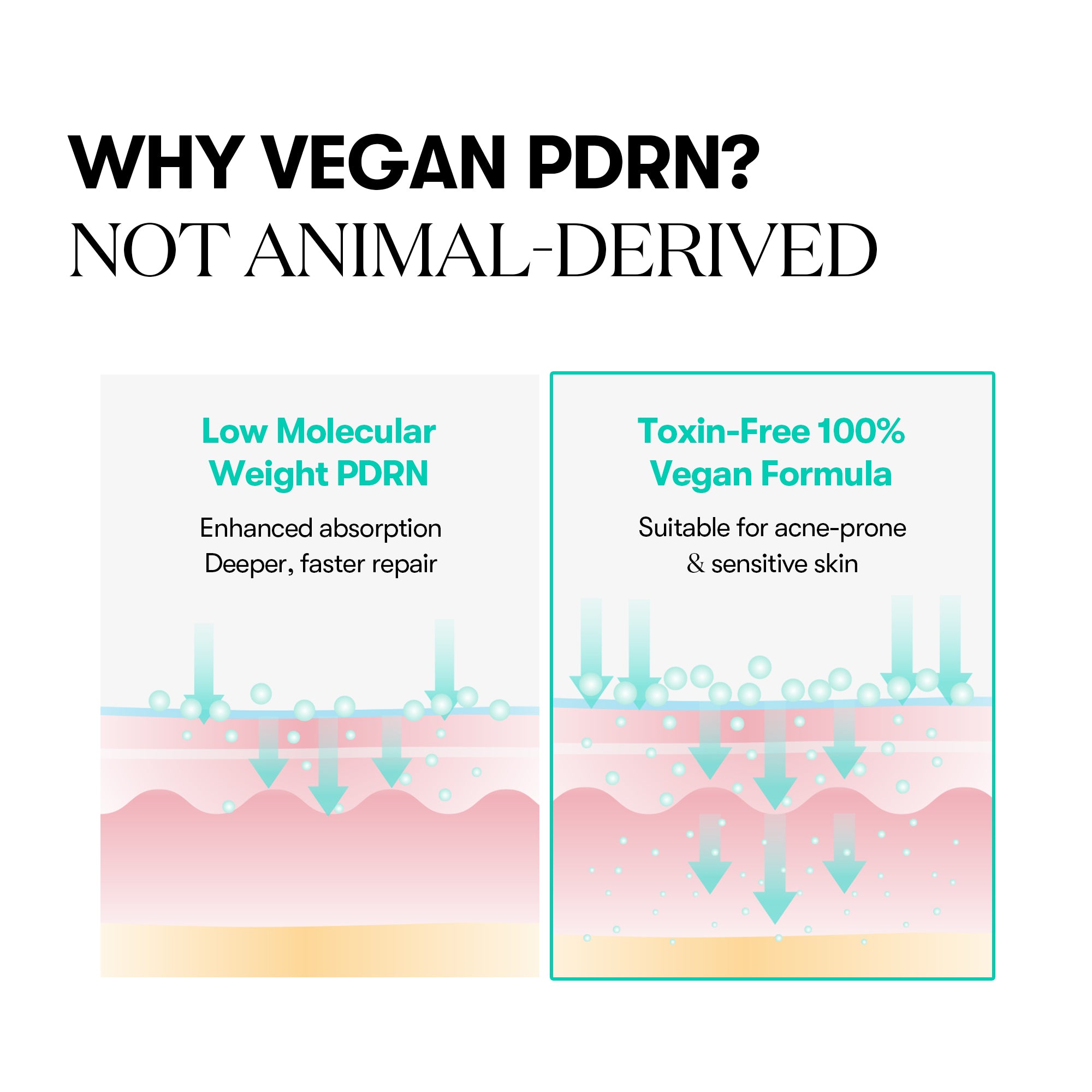 VT COSMETICS - PDRN Capsule Cream 100 50ml 5