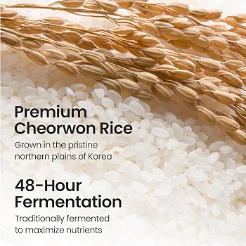 SKINFOOD - Rice Mask Wash Off 120g 5