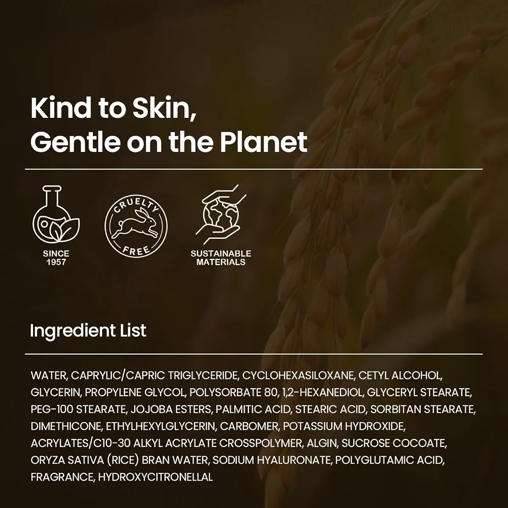 SKINFOOD - Rice Mask Wash Off 120g 9